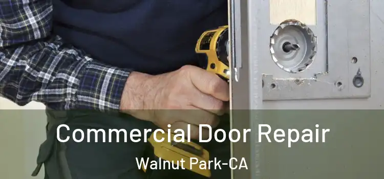 Commercial Door Repair Walnut Park-CA