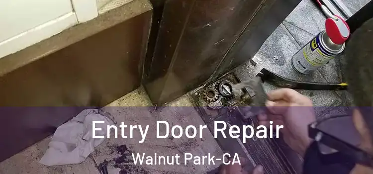 Entry Door Repair Walnut Park-CA