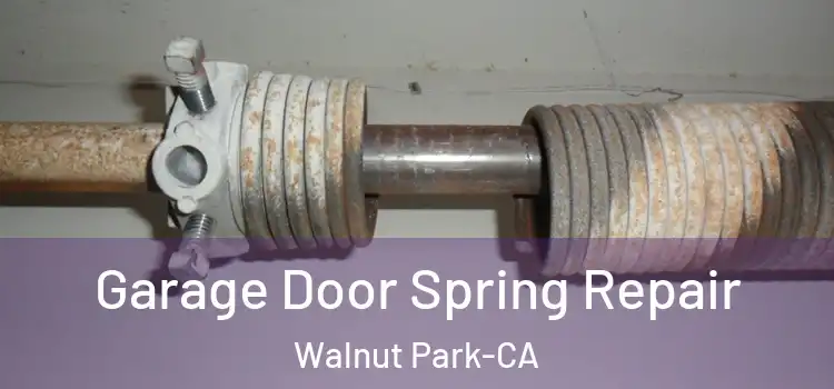  Garage Door Spring Repair Walnut Park-CA